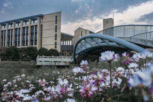 福州大学城爆料视频最新,揭秘校园生活新动态! 第3张 福州大学城爆料视频最新,揭秘校园生活新动态! 第3张